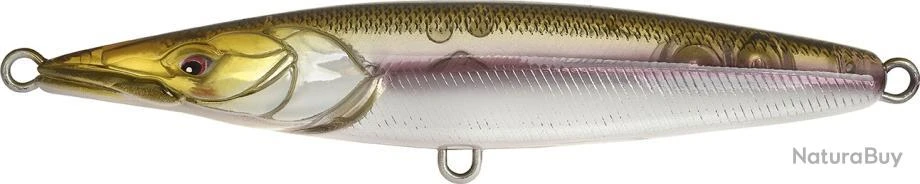 ASTURIE 150 - FRENCH WAKASAGI 3 ASTURIE 150 - FRENCH WAKASAGI