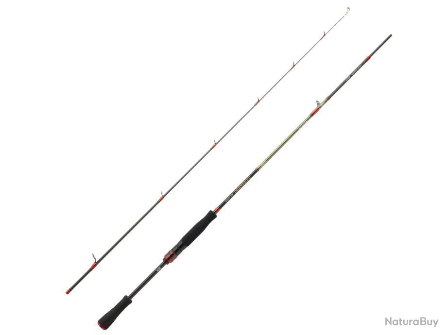 Canne Spinning Daiwa Tournament AGS Verticale 1m80 2 99g 10 - 35g 3 Canne Spinning Daiwa Tournament AGS Verticale 1m80 2 99g 10 - 35g