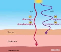 Lot De 3 Cagoules - Bleu Marine - Anti UV - Livraison Gratuite Et Rapide -Matériel De Pêche 00003 Lot de 3 cagoules Bleu marine Anti UV Livraison gratuite et rapide