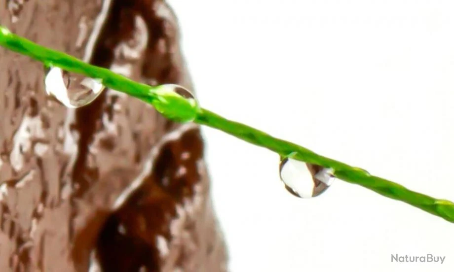 Fil De Peche Multifilament PE 4 Brins 300m, Couleur: Au Choix, Modele: 0.45mm 29.6kg 6 Fil De Peche Multifilament PE 4 Brins 300m, Couleur: Au Choix, Modele: 0.45mm 29.6kg – Image 4