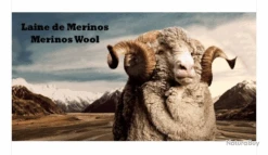 Cadeau : Lot Sportchief Hiver. Casquette, Gants, Chaussettes... -Matériel De Pêche 00012 Cadeau Lot Sportchief Hiver Casquette gants chaussettes